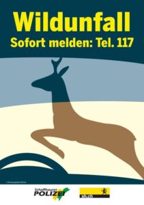 MEHR LESEN